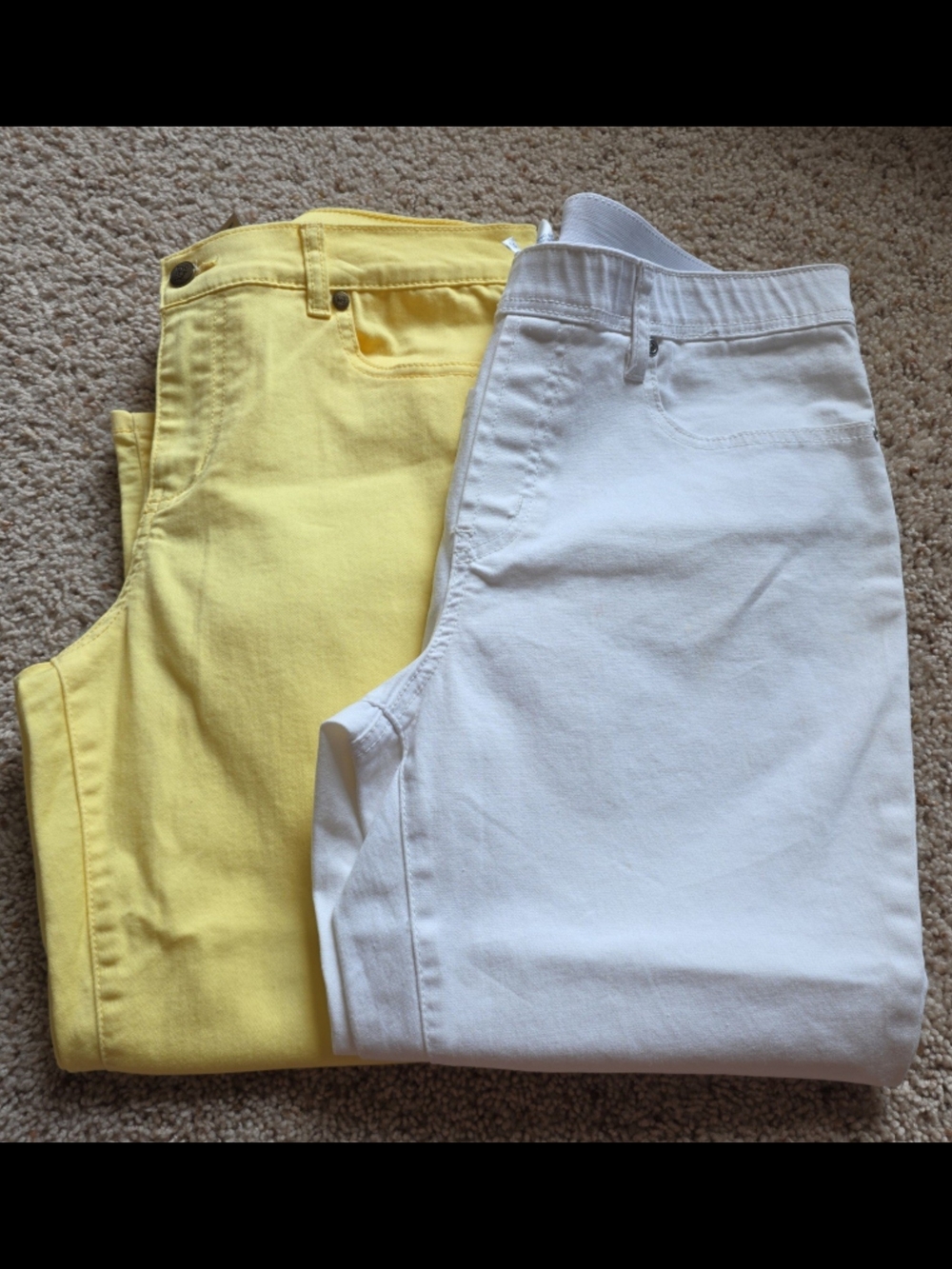 DG2 by Diane Gilman Lot of 2 Pants – Size 12P / PL